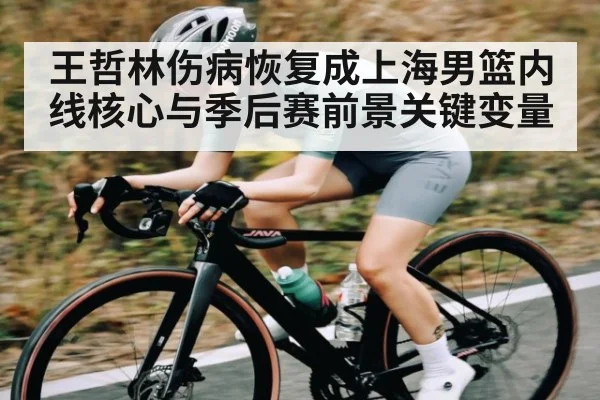 王哲林伤病恢复成上海男篮内线核心与季后赛前景关键变量